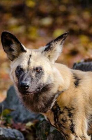 Cover of An African Hunting Dog on Patrol