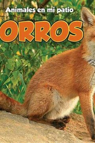 Cover of Los Zorros