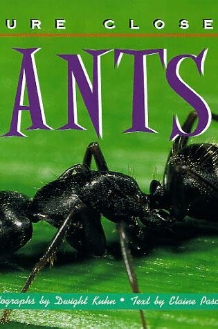 Cover of Ants