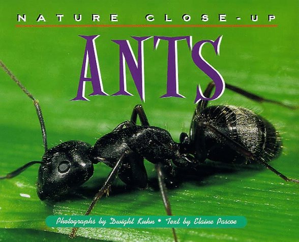 Cover of Ants