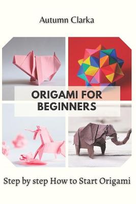 Cover of Origami for Beginners