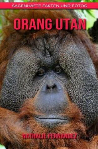 Cover of Orang Utan