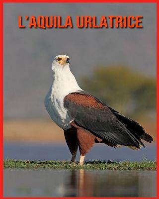 Book cover for L'aquila Urlatrice