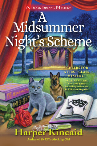 Cover of A Midsummer Night's Scheme
