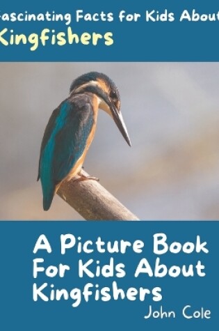 Cover of A Picture Book for Kids About Kingfishers