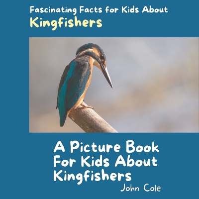 Book cover for A Picture Book for Kids About Kingfishers