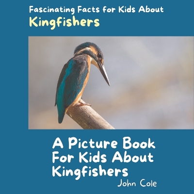 Cover of A Picture Book for Kids About Kingfishers