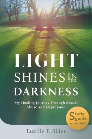 Cover of Light Shines in the Darkness