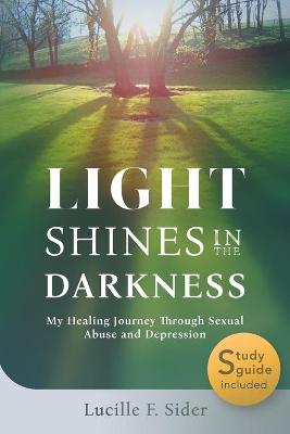 Book cover for Light Shines in the Darkness