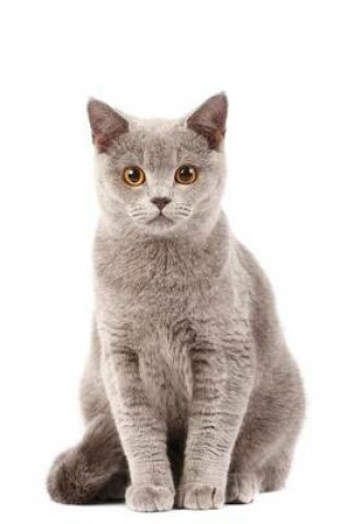 Cover of Sitting British Shorthair (for the Love of Cats)