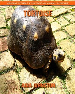 Book cover for Tortoise