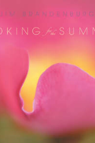 Cover of Looking for the Summer