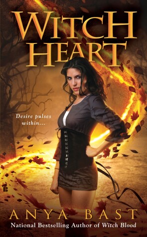 Book cover for Witch Heart
