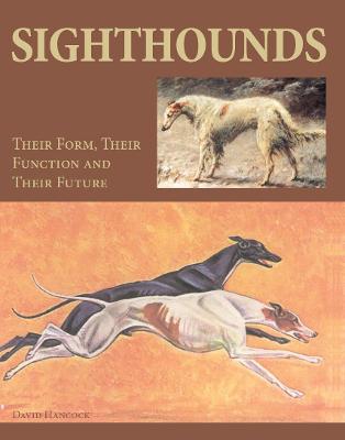 Book cover for Sighthounds