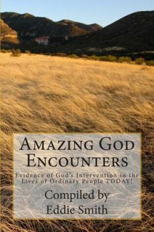 Cover of Amazing God Encounters