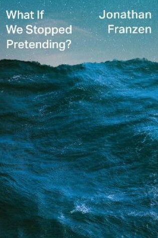 Cover of What If We Stopped Pretending?
