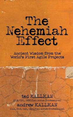 Book cover for The Nehemiah Effect