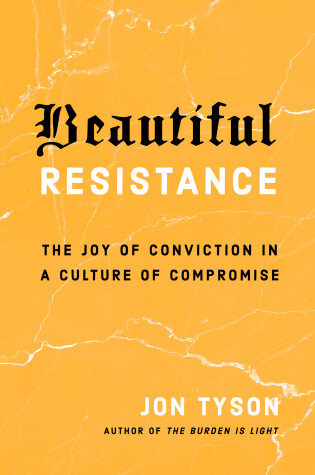 Cover of Beautiful Resistance