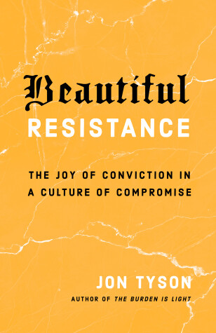 Book cover for Beautiful Resistance