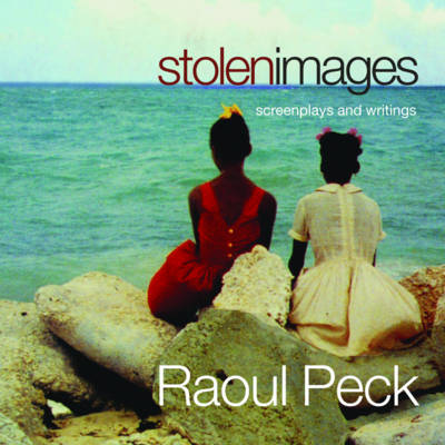 Cover of Stolen Images