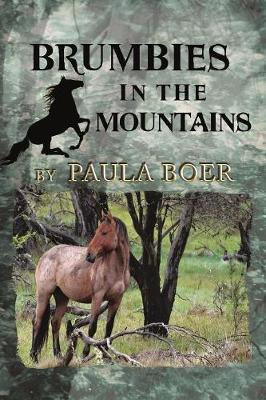 Book cover for Brumbies in the Mountains