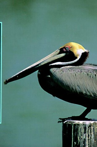 Cover of Familiar Birds of Sea and Shore