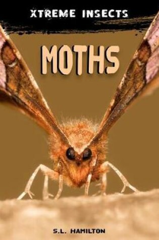 Cover of Moths