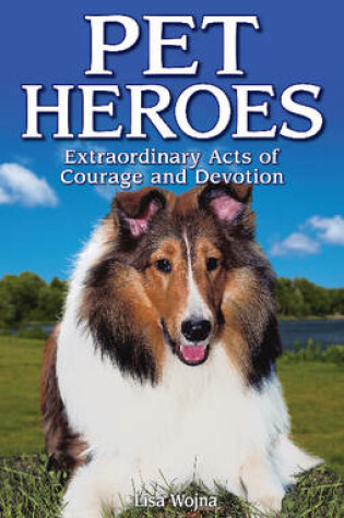 Cover of Pet Heroes