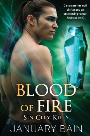 Cover of Blood of Fire