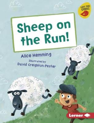 Book cover for Sheep on the Run!