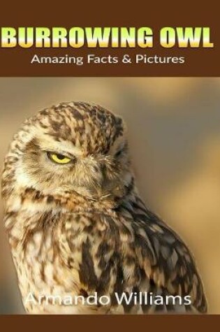 Cover of Burrowing Owl