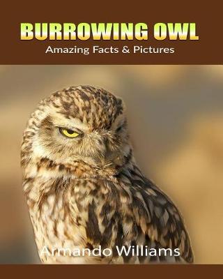 Book cover for Burrowing Owl