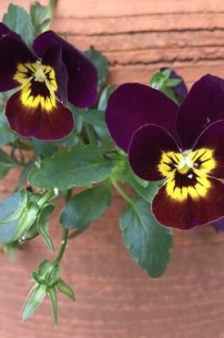 Cover of Velvety Beautiful Dark Purple and Yellow Pansy Flowers Garden Journal