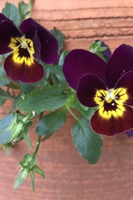 Book cover for Velvety Beautiful Dark Purple and Yellow Pansy Flowers Garden Journal