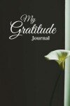 Book cover for My Gratitude Journal