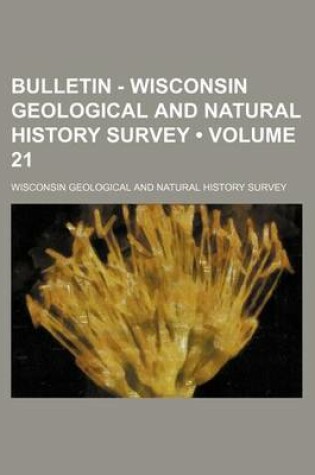 Cover of Bulletin - Wisconsin Geological and Natural History Survey (Volume 21)