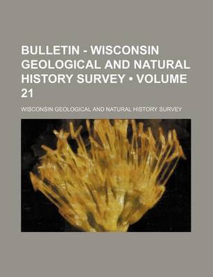 Book cover for Bulletin - Wisconsin Geological and Natural History Survey (Volume 21)