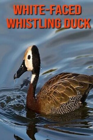 Cover of White-Faced Whistling Duck
