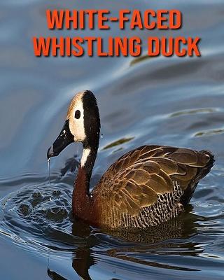 Book cover for White-Faced Whistling Duck