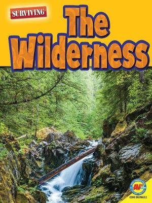 Book cover for The Wilderness