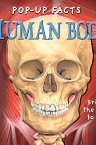 Cover of Pop-up Facts: Human Body