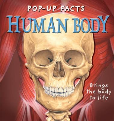 Book cover for Pop-up Facts: Human Body