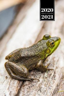 Book cover for Frog Toad Week Planner Weekly Organizer Calendar 2020 / 2021 - Balancing on Log
