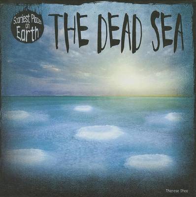 Book cover for The Dead Sea