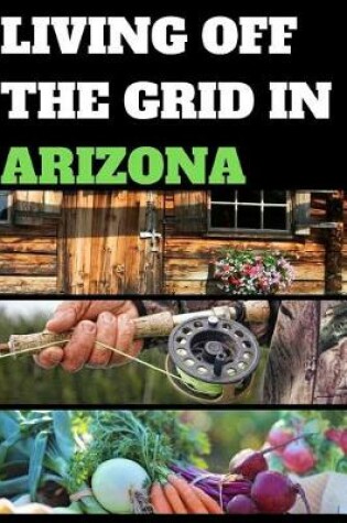 Cover of Living Off the Grid in Arizona