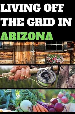 Book cover for Living Off the Grid in Arizona