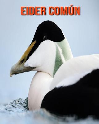 Book cover for Eider común