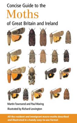 Book cover for Concise Guide to the Moths of Great Britain and Ireland