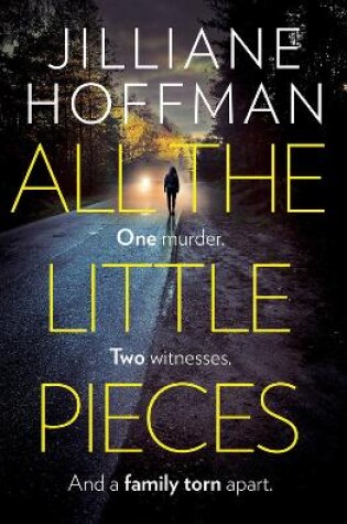 Cover of All the Little Pieces
