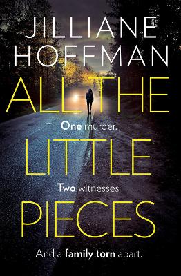 Book cover for All the Little Pieces